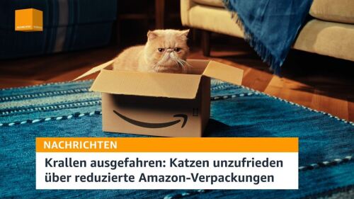 thumbnail-katzenvideo.JPG