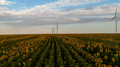 sam-nextera-greatprairie-12.jpg