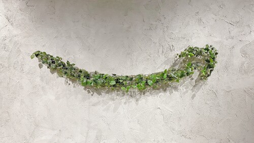 green-smile2000.jpg